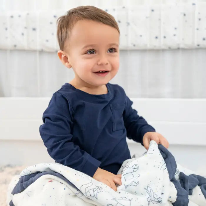 Aden + Anais Stargaze Stellar Silky Soft Dream Blanket - The Baby Service.com