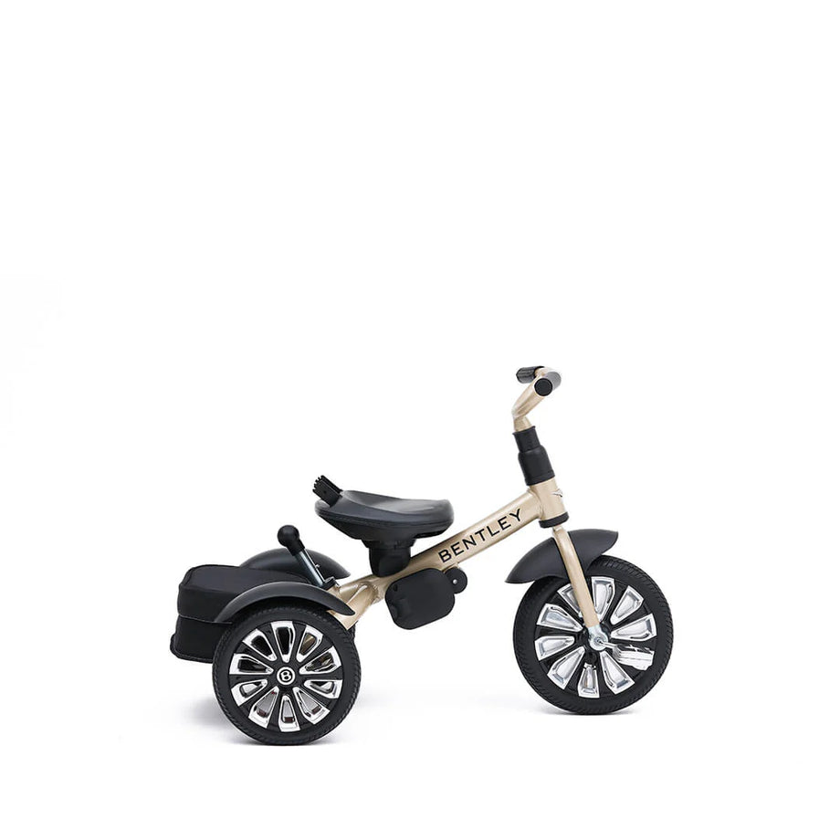子供用三輪車 4in1 (パープル ) 自転車 オリジナル 押し棒付き