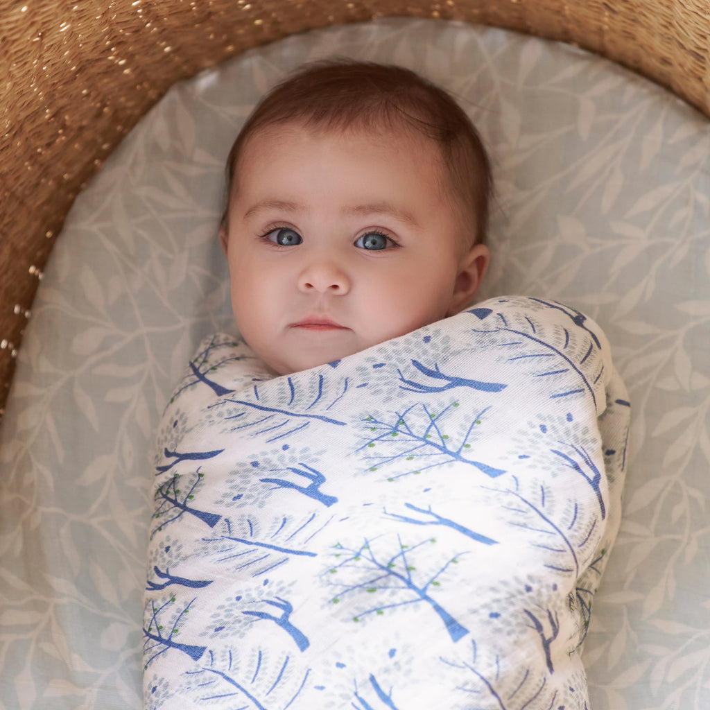 Aden + Anais - Outdoors Organic Swaddles 4 Pack - The Baby Service.com