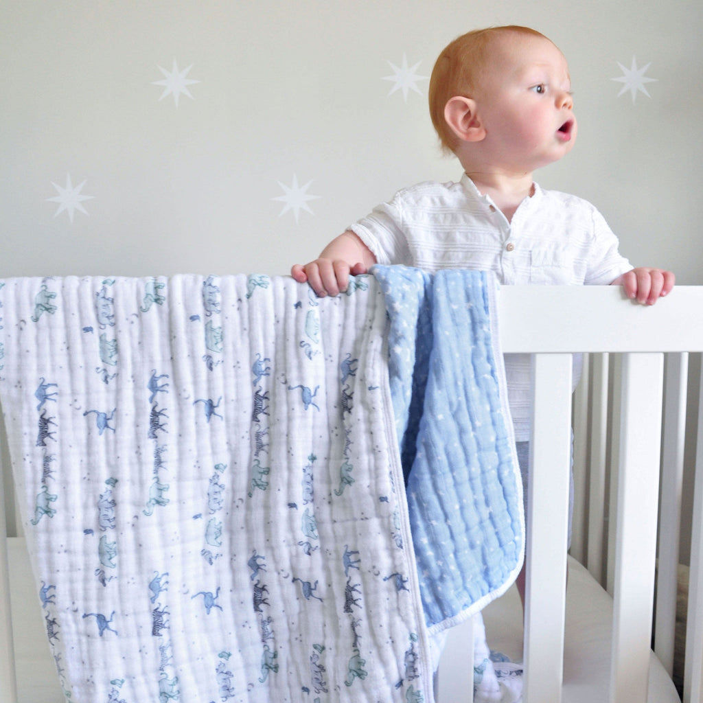Aden + Anais Rising Star Classic Dream Blanket - Gift Ideas - The Baby Service