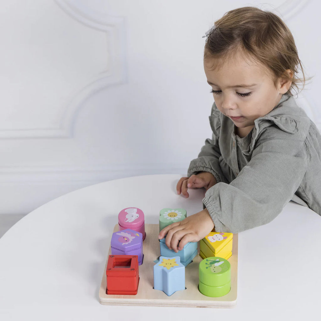Le Toy Van - Sensory Shapes - Gifts - Toys - The Baby Service