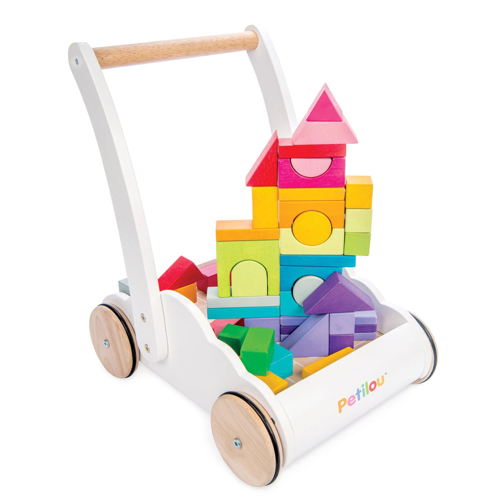 Le Toy Van Rainbow Cloud Walker with Building Blocks